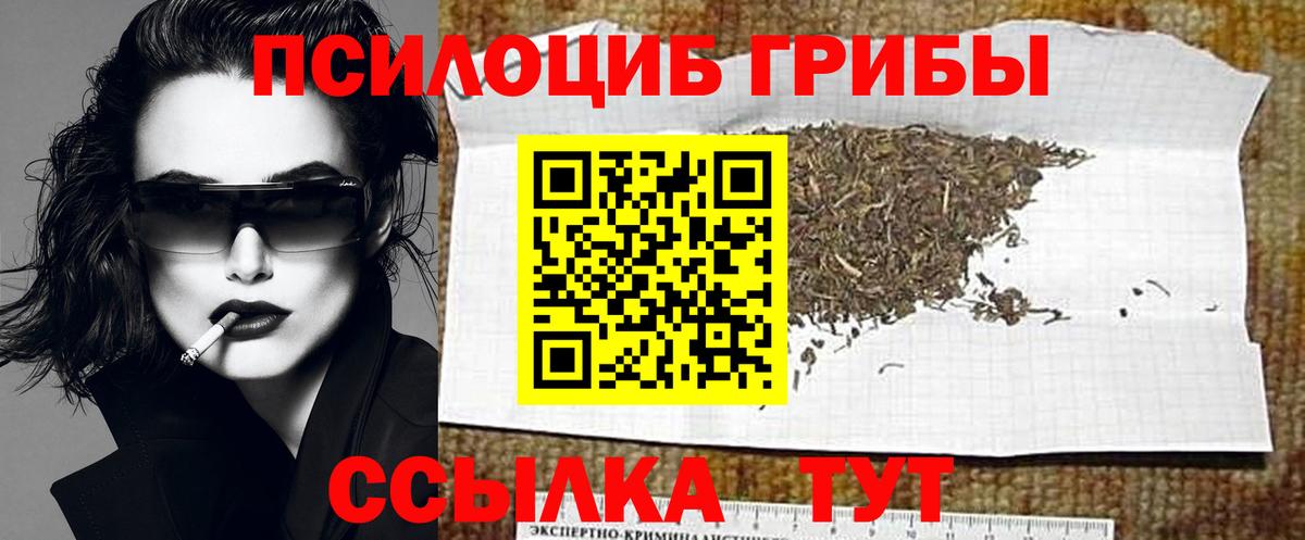 Псилоцибиновые грибы Magic Shrooms Кохма