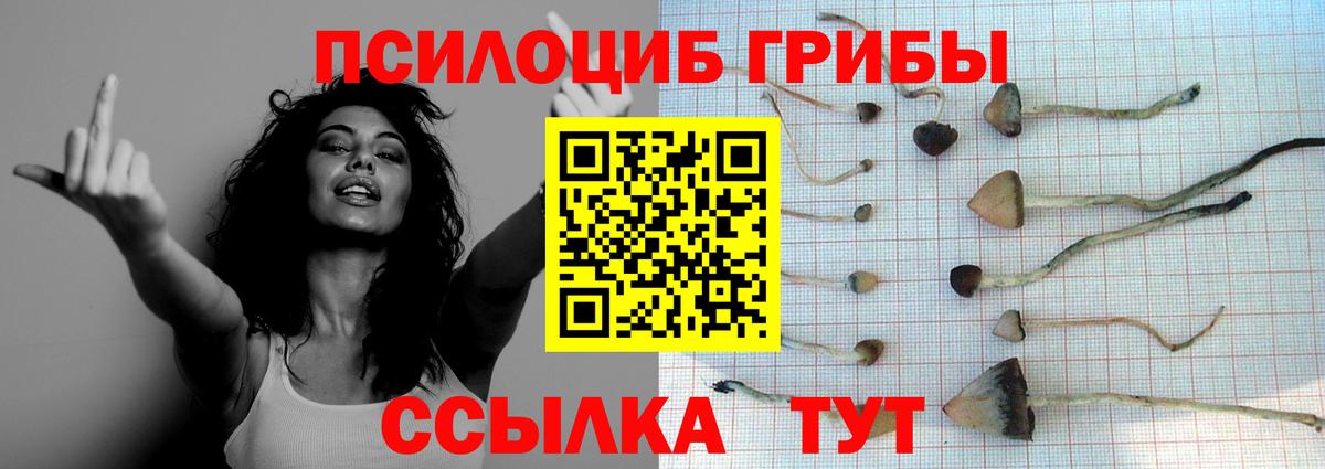 Псилоцибиновые грибы мицелий  Вход с VPN  Галлюциногенные грибы Magic Shrooms  Кохма 